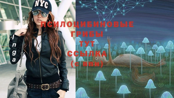 прущие крисы Беломорск