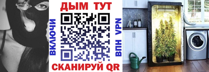 Каннабис план  Ахтырский 